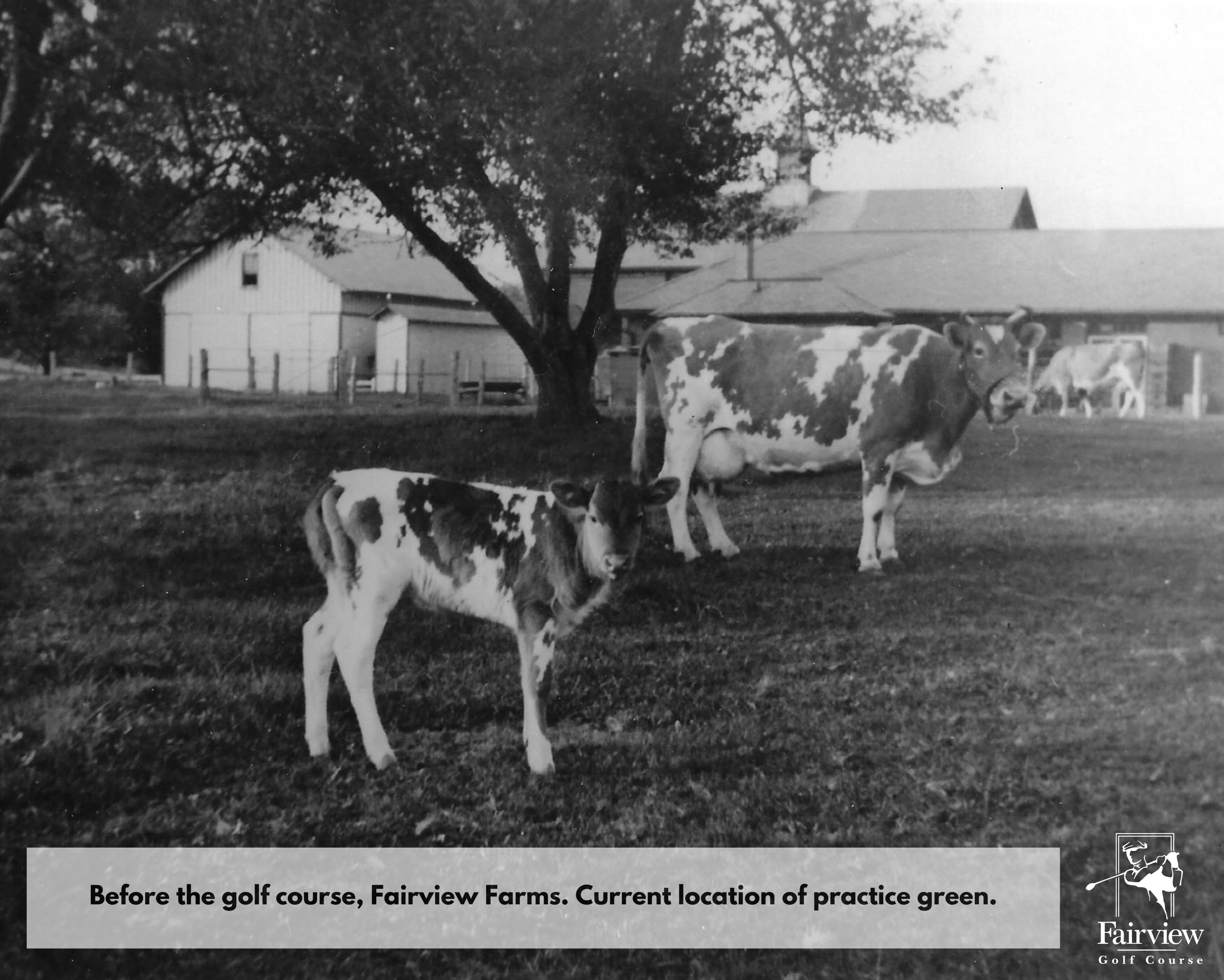 Course History Fairview Golf Course