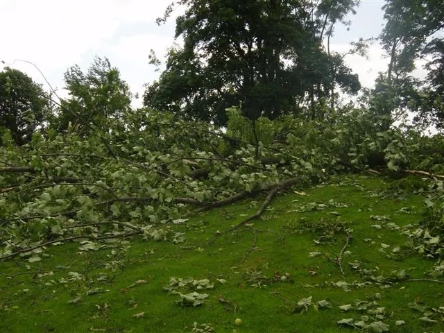 Tornado Damage