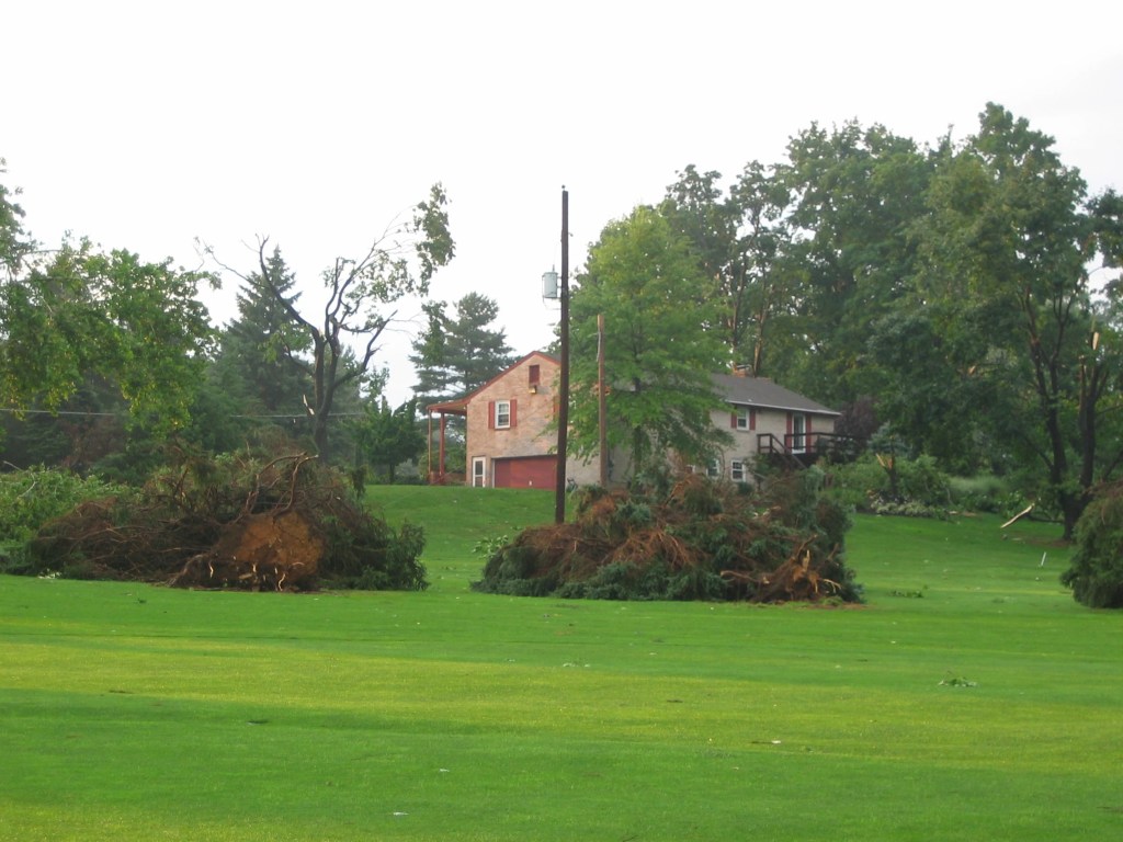 Tornado Damage