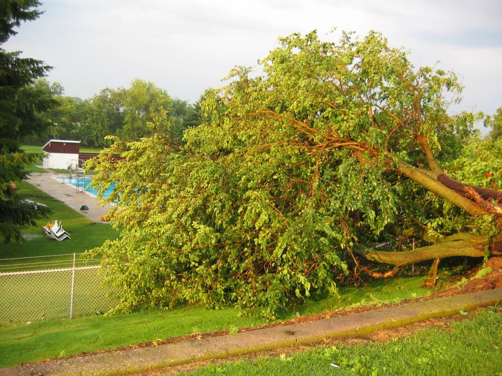 Tornado Damage