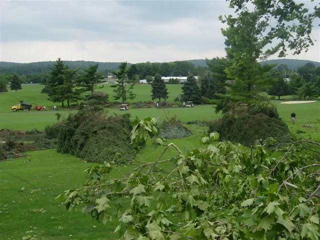 Tornado Damage