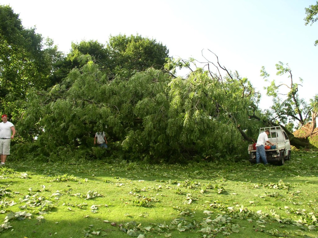 Tornado Damage