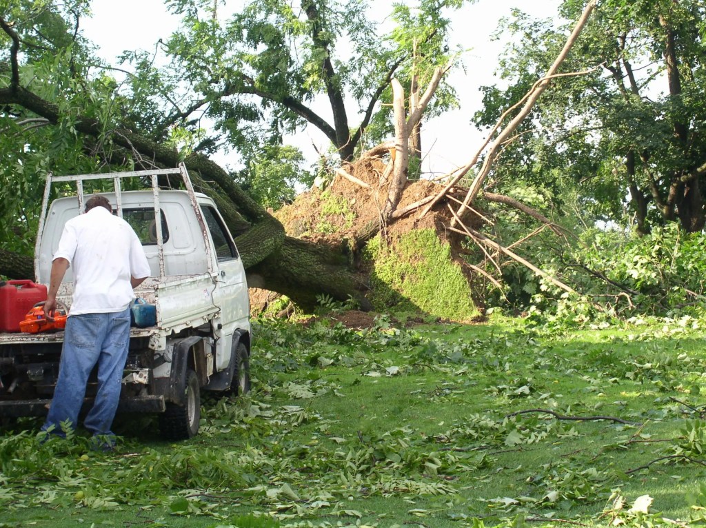 Tornado Damage