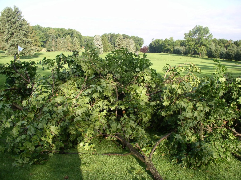 Tornado Damage