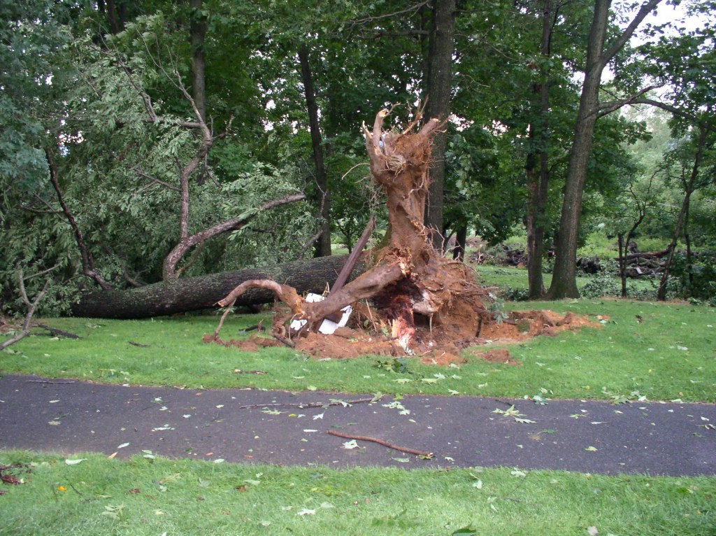 Tornado Damage