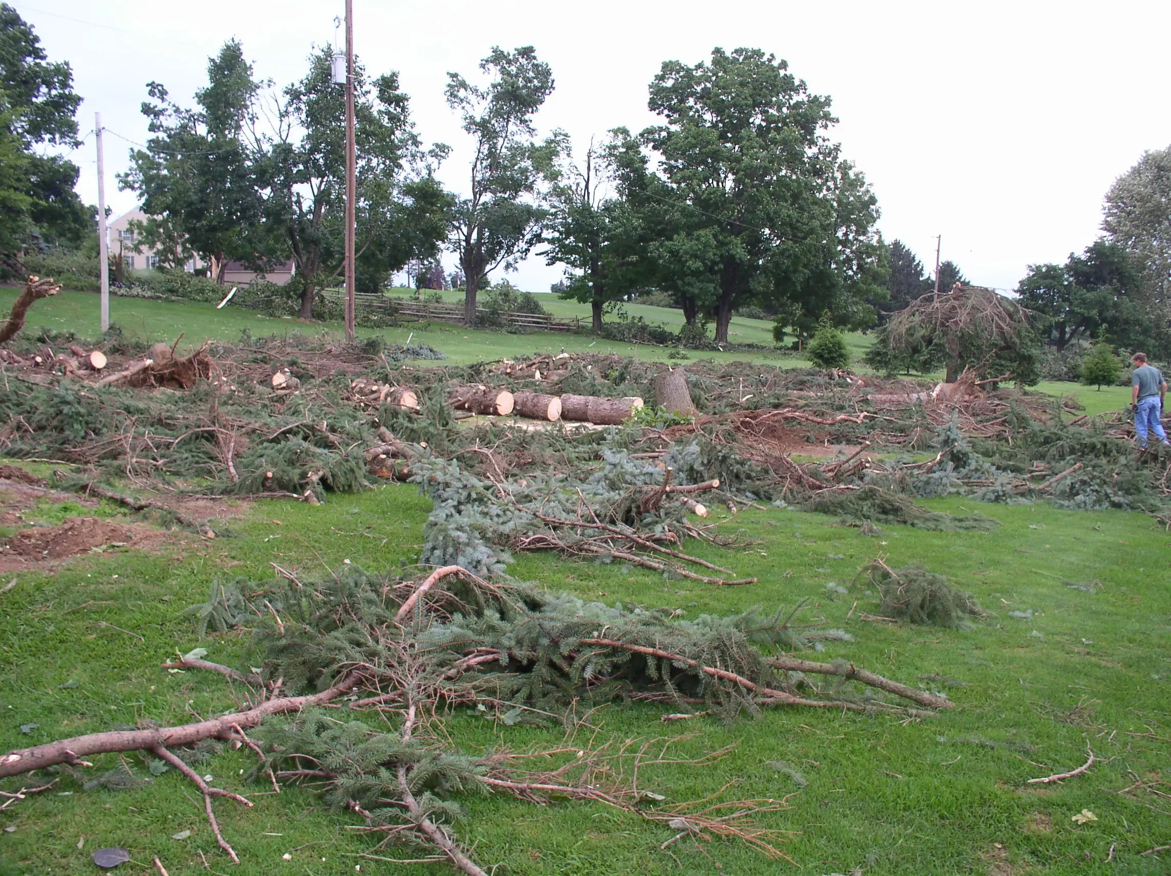 Course History Fairview Golf Course