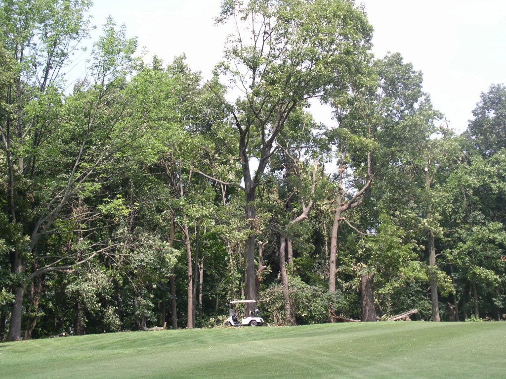 Tornado Damage