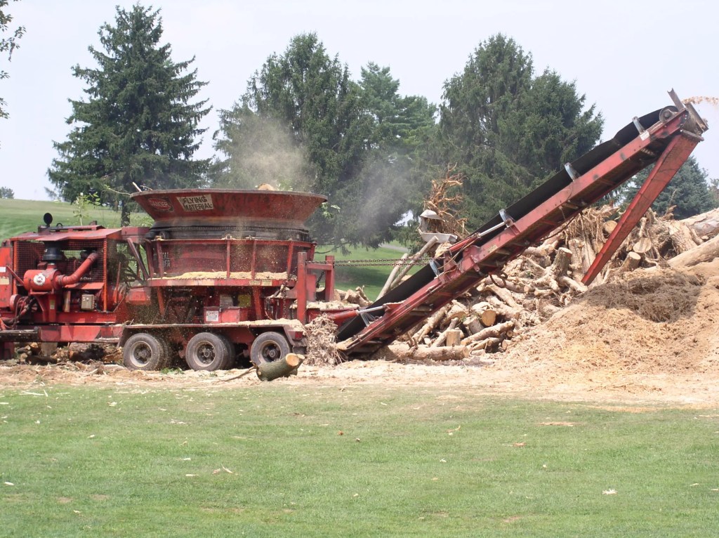 Tornado Damage