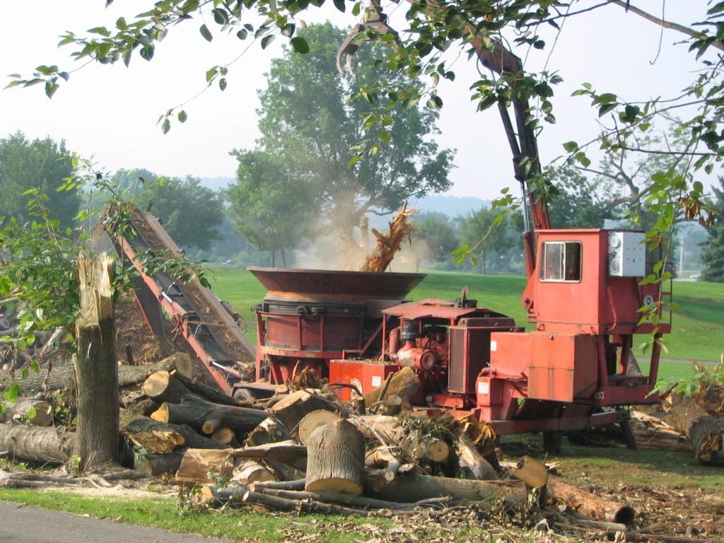 Tornado Damage